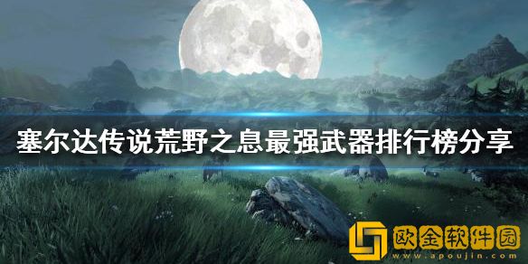 塞尔达传说荒野之息什么武器好用 最强武器排行榜介绍