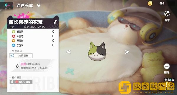 猫之城猫球挂件怎么获得 猫球挂件获取方法