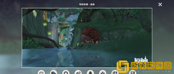 原神动物行为拍摄攻略