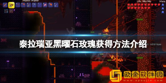 泰拉瑞亚黑曜石玫瑰怎么获得 黑曜石玫瑰获得方法介绍