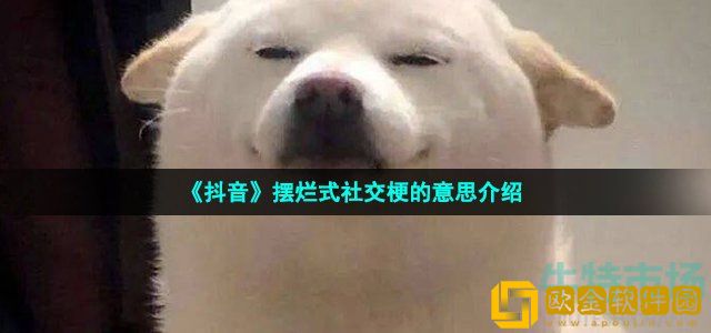 抖音摆烂式社交是什么梗 摆烂式社交梗的意思介绍