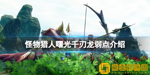 怪物猎人崛起曙光千刃龙弱点是什么 曙光千刃龙弱点介绍