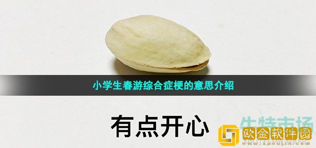 小学生春游综合症是什么梗 小学生春游综合症梗的意思介绍