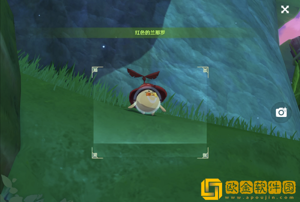 原神拍摄三只不同颜色的兰那罗攻略