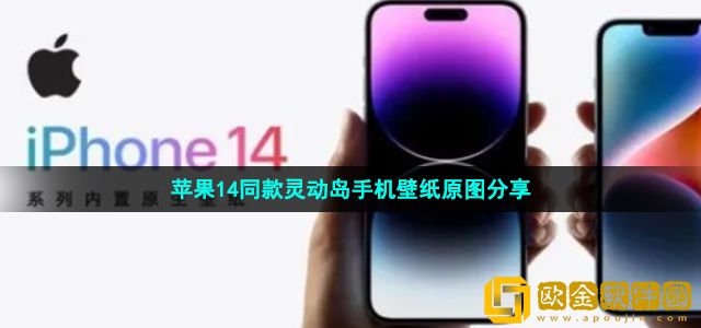 iphone14灵动岛壁纸怎么弄 苹果14同款灵动岛手机壁纸原图分享