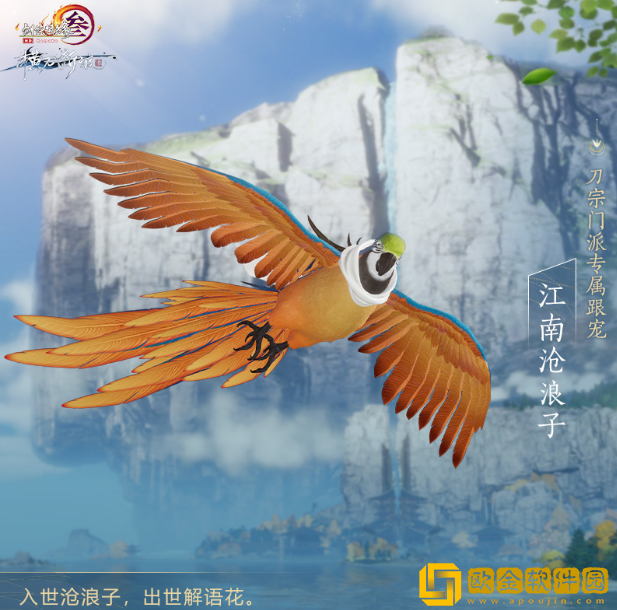 剑网3刀宗鹦鹉跟宠一览