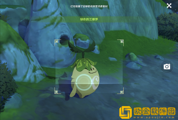 原神拍摄三只不同颜色的兰那罗攻略