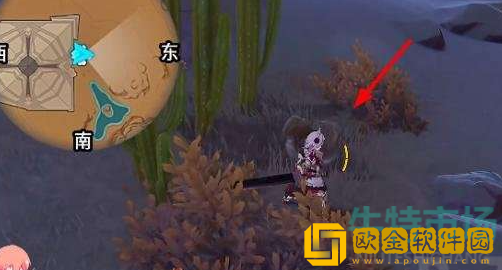 《原神》金蔷薇种子采集位置介绍