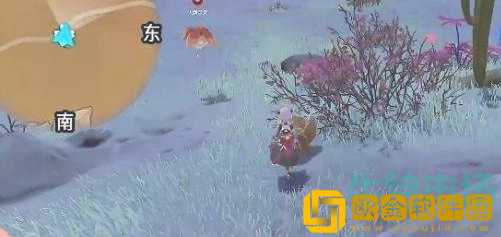 《原神》金蔷薇种子采集位置介绍