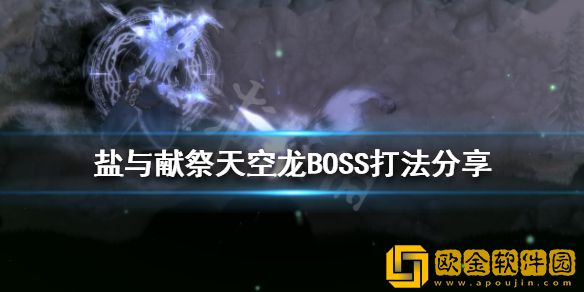 盐与献祭天空龙怎么打 天空龙BOSS打法介绍