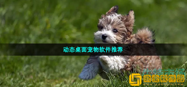 免费使用的动态桌面宠物软件有哪些 安卓动态桌面宠物软件