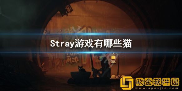 迷失Stray游戏有哪些猫 Stray游戏猫品种介绍
