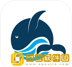 鹏鲲教育