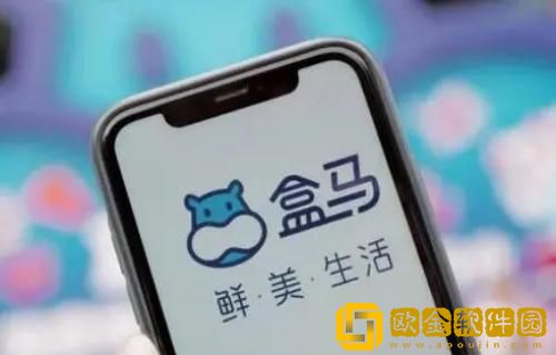 盒马app怎么用微信支付 盒马app微信支付方法