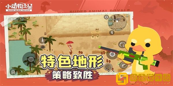 小动物之星下载