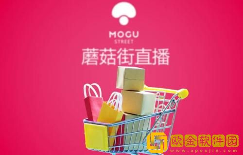 蘑菇街怎么找回密码 蘑菇街找回密码操作教程