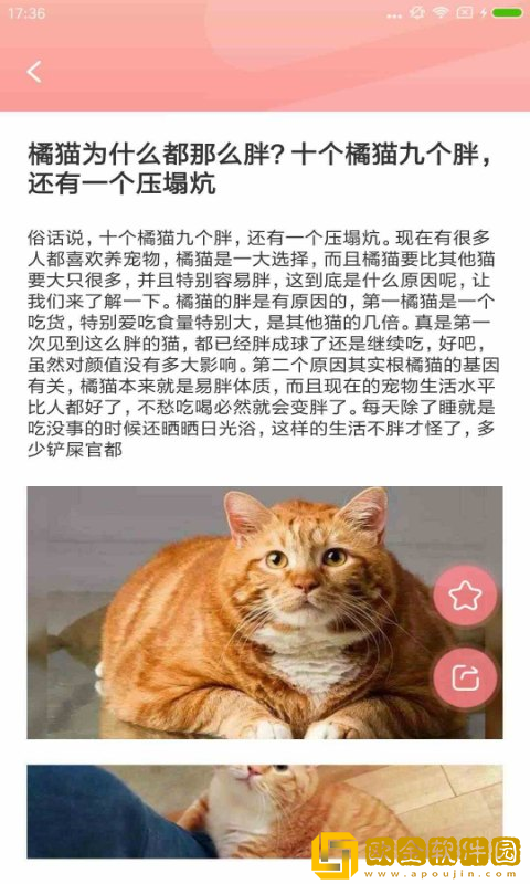 宠物公社最新版