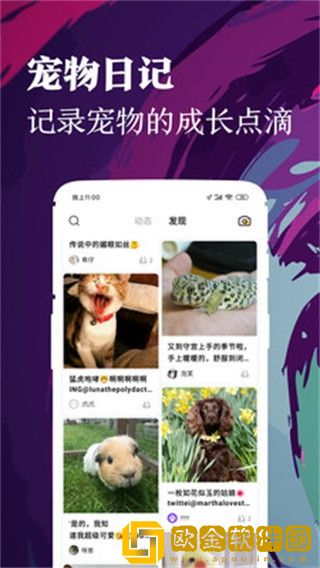 铲屎官安卓最新版