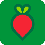 叮咚买菜最新版