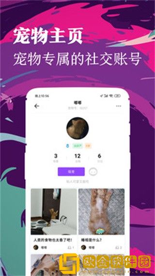 铲屎官安卓最新版