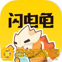闪电龟正版下载安装
