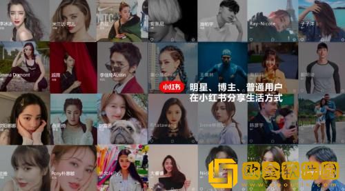 小红书怎么查看购买课程 小红书购买课程查看方法介绍