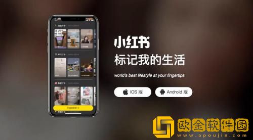 小红书在线状态怎么开启 小红书在线状态开启方法