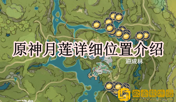 原神月莲在哪 详细位置介绍