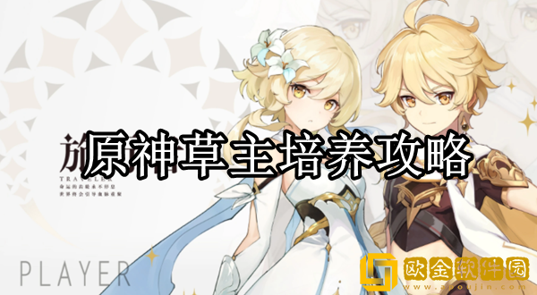 原神草主值得培养么 草主培养攻略