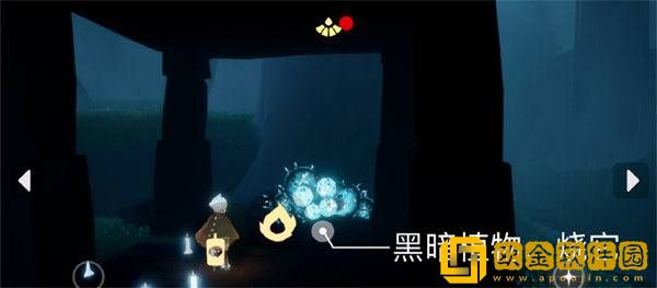 2022光遇8.19每日任务攻略