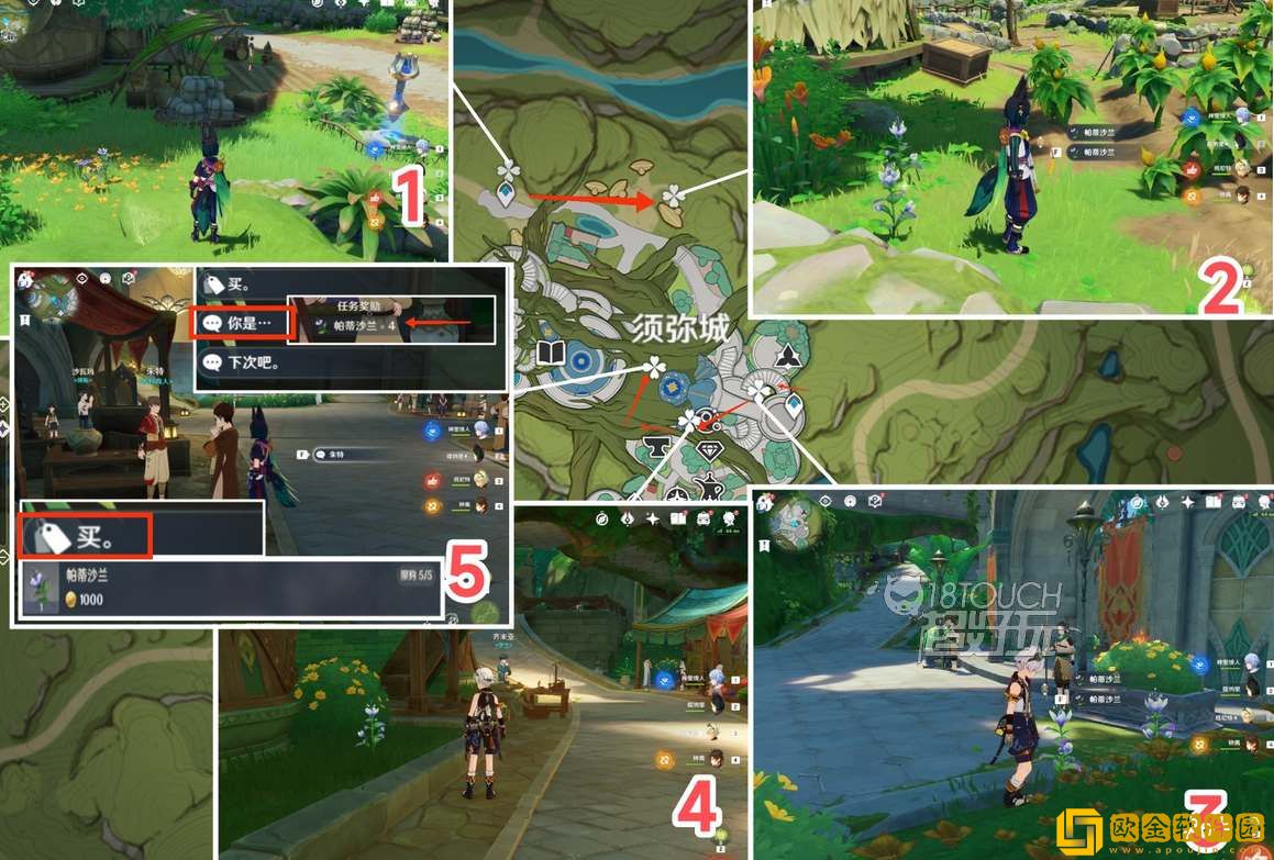 原神帕蒂沙兰最快采集路线是怎样的 最快采集路线2023