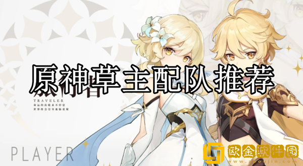 原神草主怎么配队 草主配队推荐