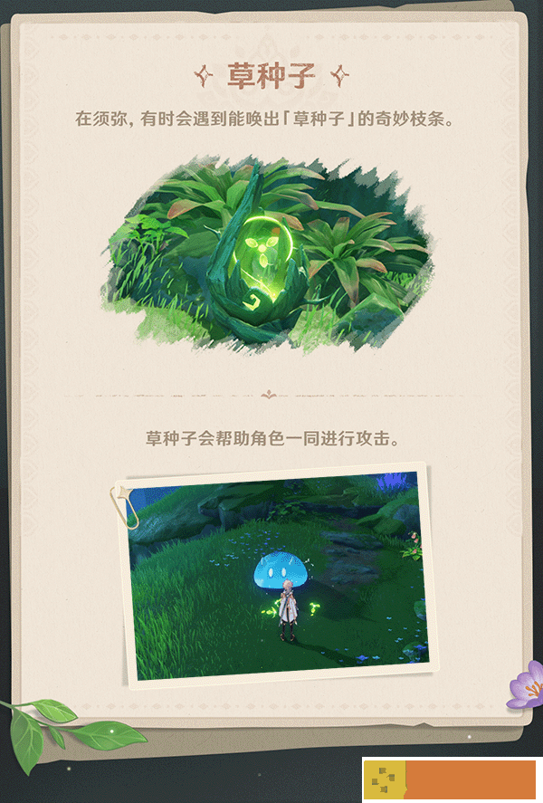 原神3.0草种子用途介绍