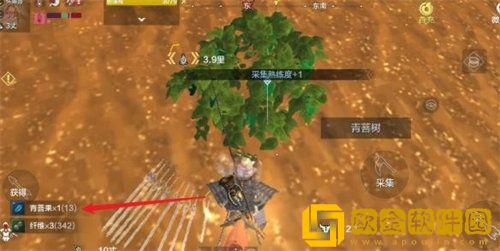 「妄想山海」妄想山海青菩果获取攻略