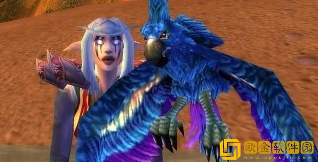 花羽鹦鹉掉落的原因及如何预防