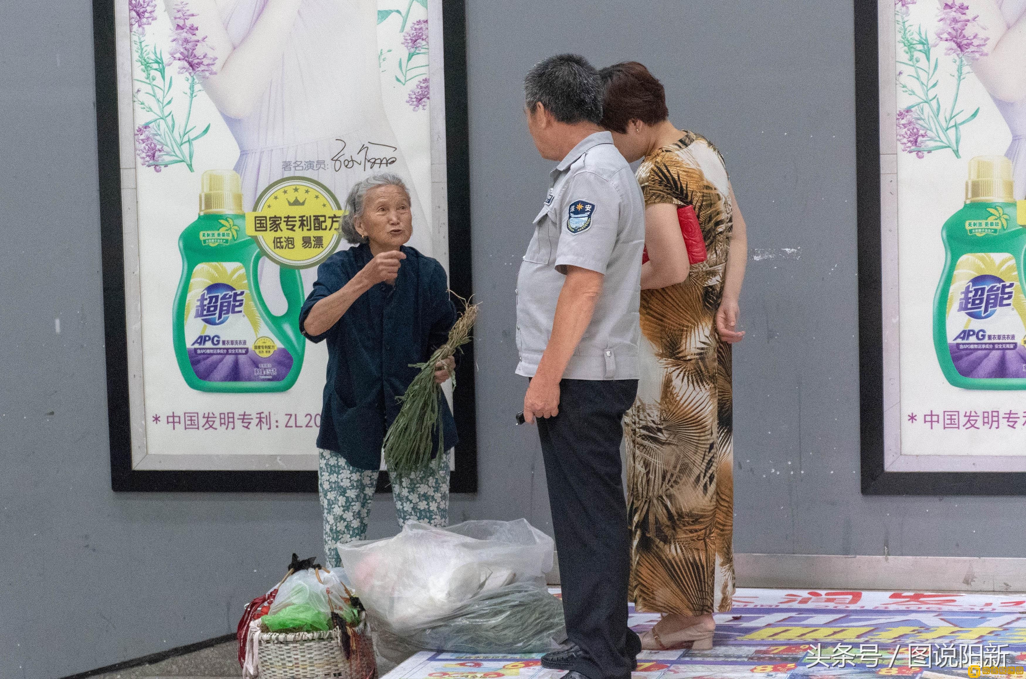 魔兽世界采药路线-优质草药掉落详解