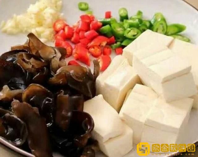 牛头人酋长加点，玩转魔兽世界！