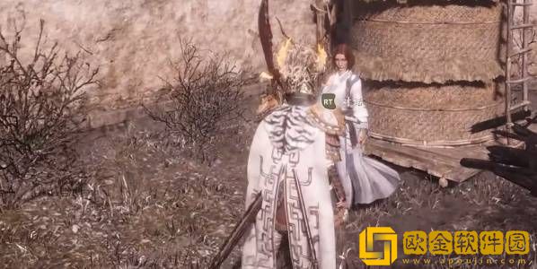 卧龙苍天陨落寻找夫君任务流程分享