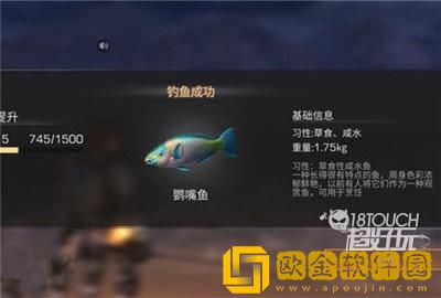 「明日之后」明日之后海洋图鉴怎么解锁