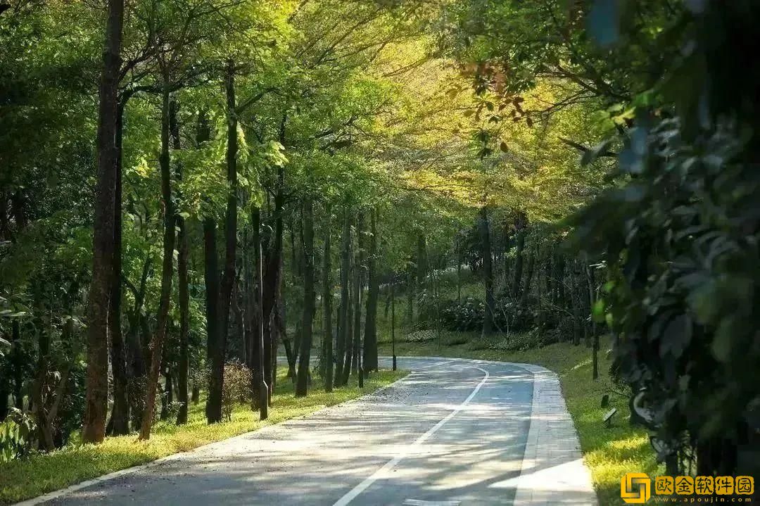 东蓝之海的宝藏探秘