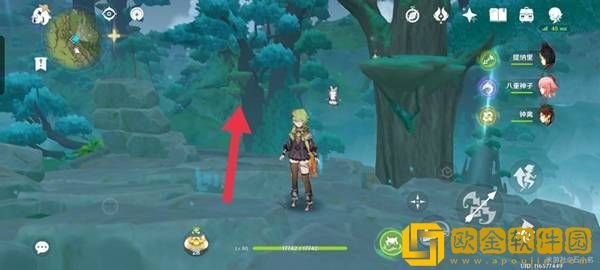 原神水天丛林宝箱位置汇总攻略