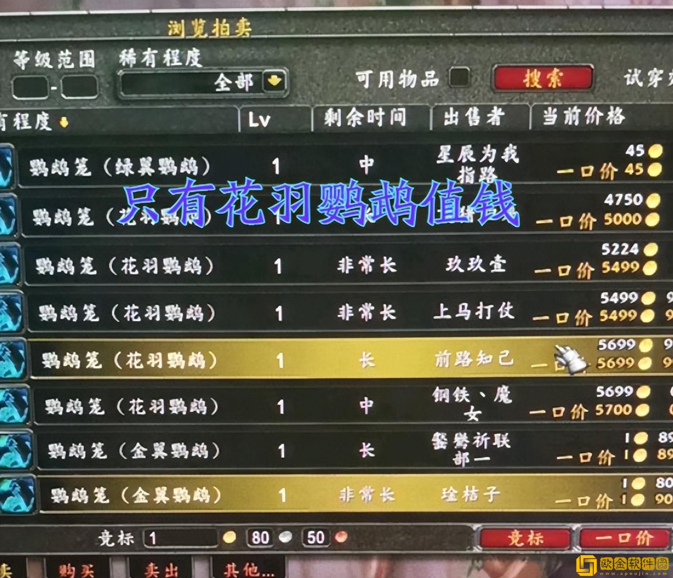 Wow花羽鹦鹉——令人惊叹的多彩世界