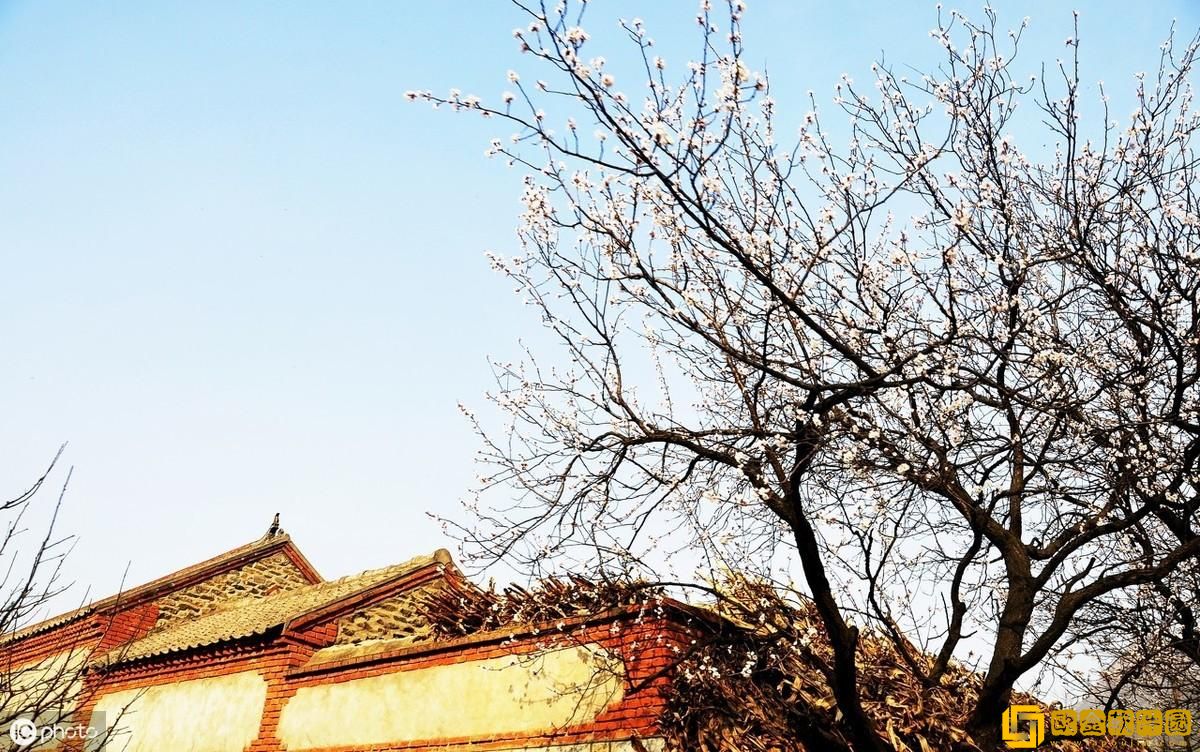 奇迹暖暖如何改变语言？