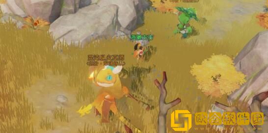 海岛纪元混沌军团活动攻略汇总有什么