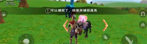 「创造与魔法」创造与魔法狼捕捉方法攻略