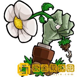 植物大战僵尸e版支线下载1.9.5