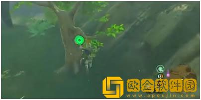 塞尔达传说王国之泪蜂蜜在哪获得 蜂蜜获取攻略