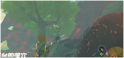 塞尔达传说王国之泪蜂蜜在哪获得 蜂蜜获取攻略