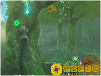 塞尔达传说王国之泪蜂蜜在哪获得 蜂蜜获取攻略