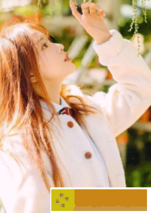 果冻传媒新剧国产完整-果冻传媒新剧国产完整在线版